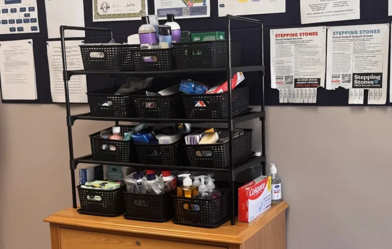 Introducing the Normal Township Hygiene Pantry